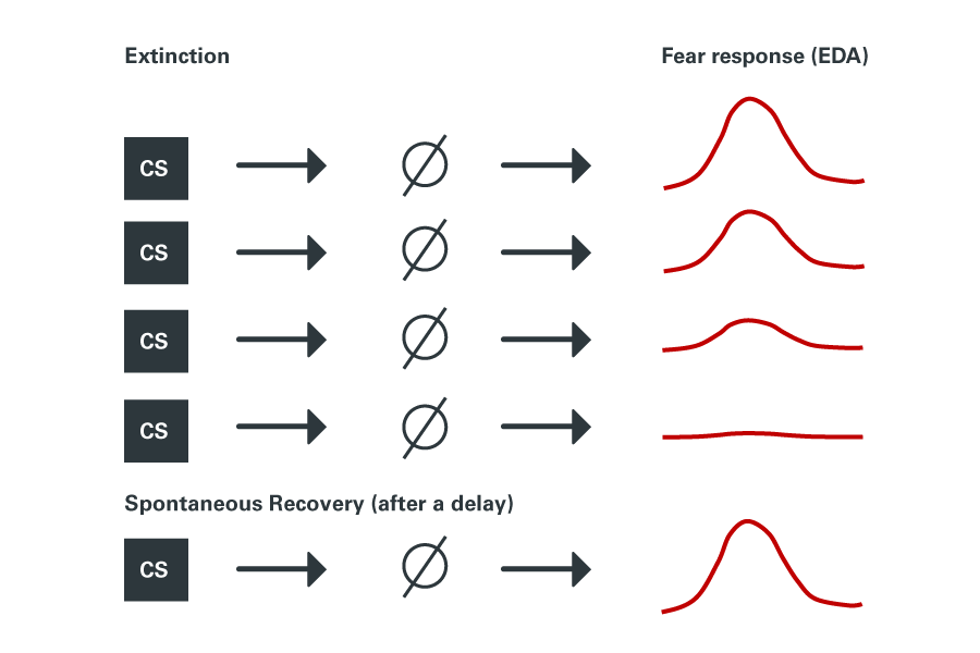 Figure 1 B