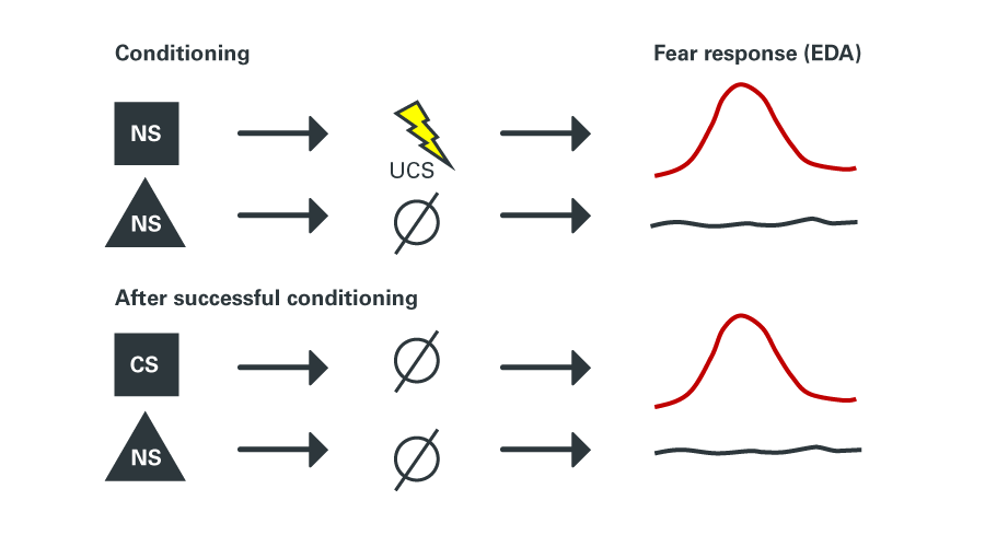 Figure 1 A