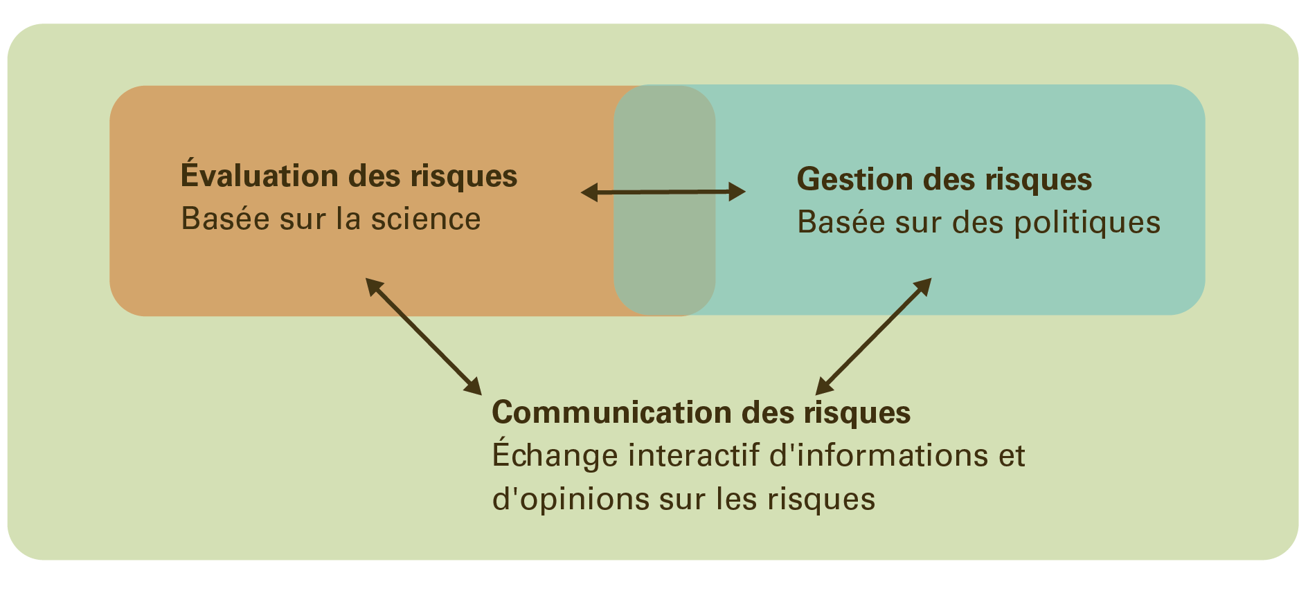 Illustration du cadre d'analyse des risques de l'OMS en soulignant l'importance de l'évaluation scientifique et de la gestion orientée sur les politiques pour la communication des risques.