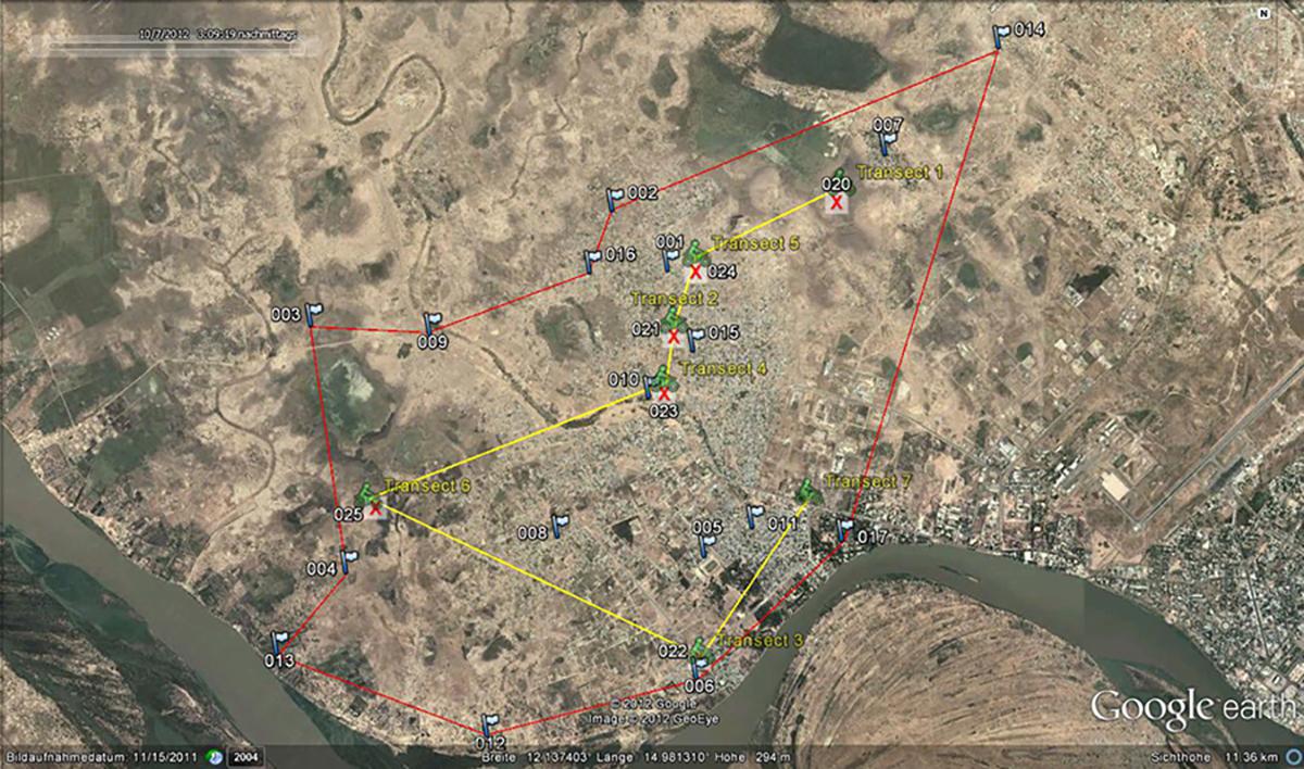 A Google earth™ Image of the city of N'Djaména with the outermost border of the vaccination zone (red) and the random transect line (yellow) of Arrondissement 1 (Farcha).