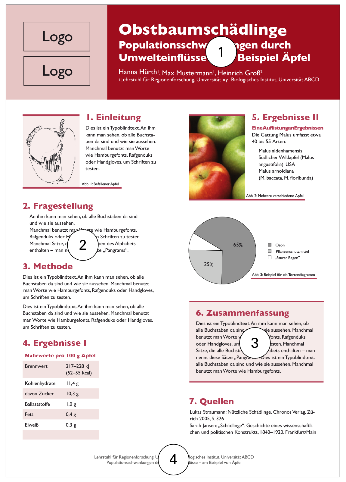 Beispiel Informationsverteilung beim Poster