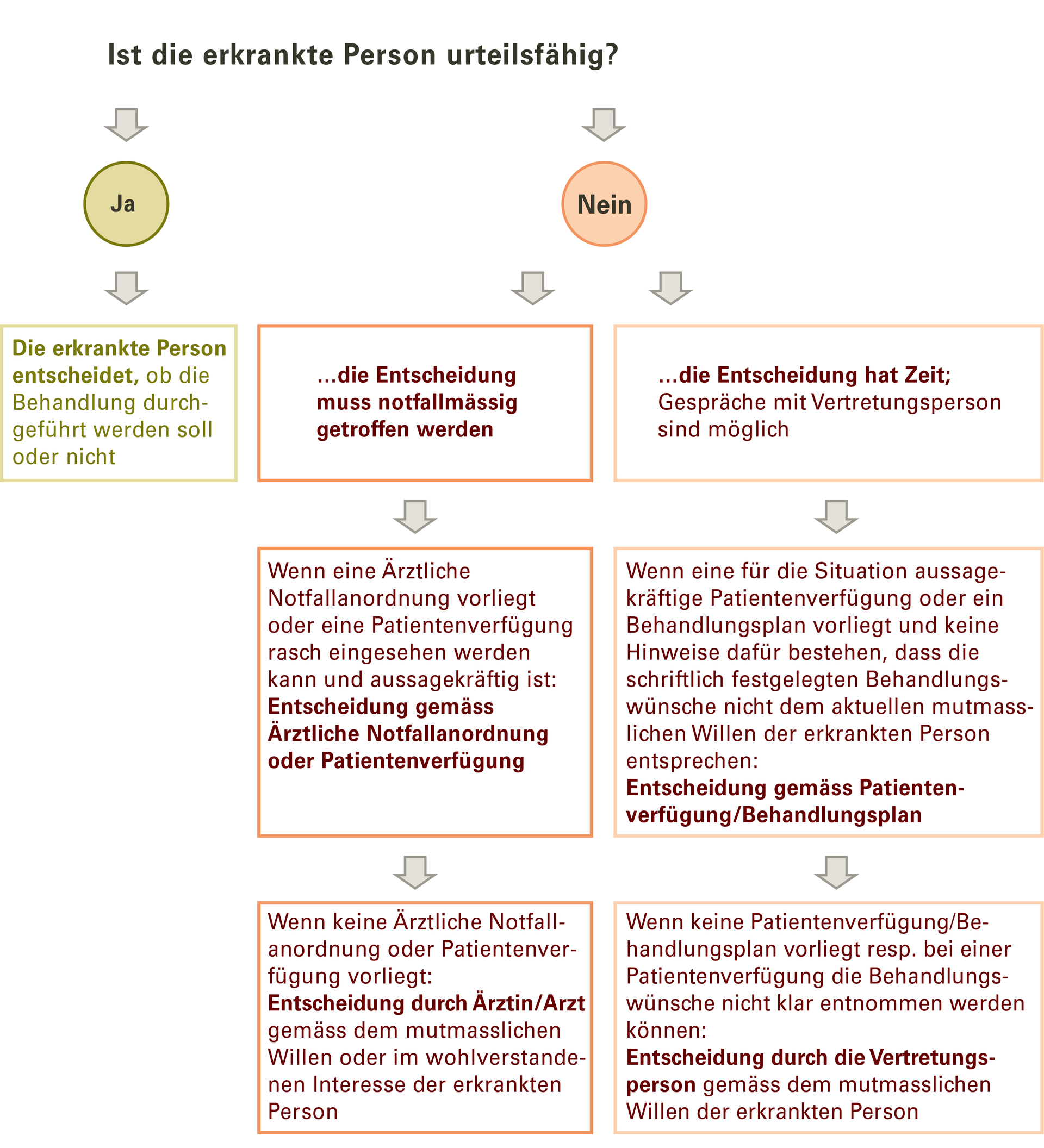 Grafik Med. Behandlungsentscheidungen