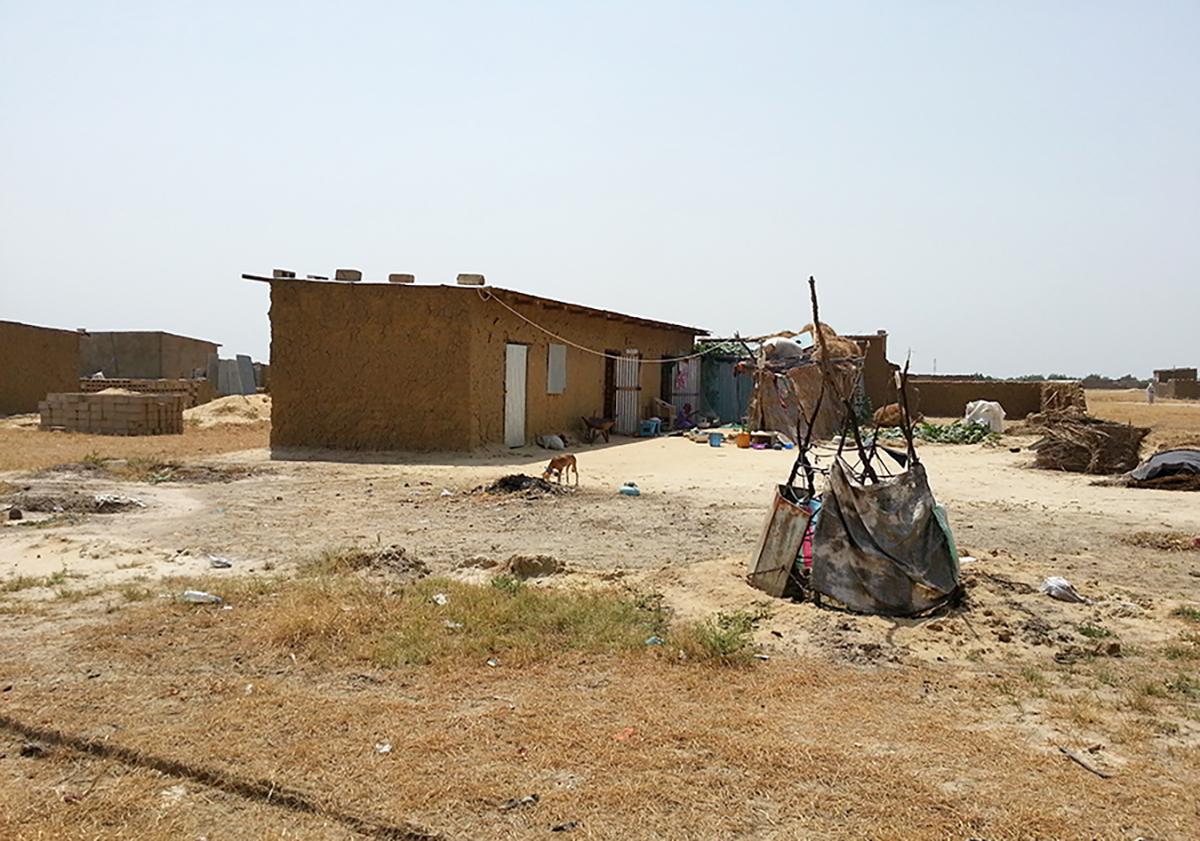 A house with an open yard is pictured. A dog with a blue plastic collar is seen in the foreground.