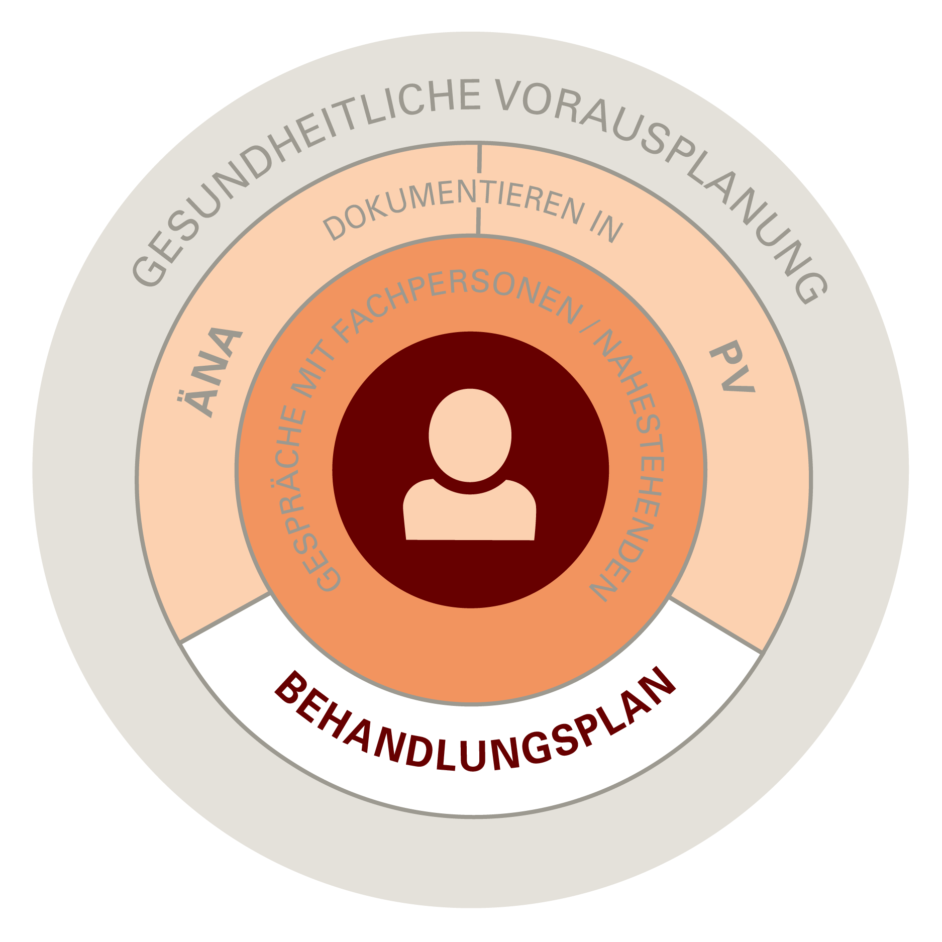 Grafik Vorsorge Prozess_Behandlungsplan