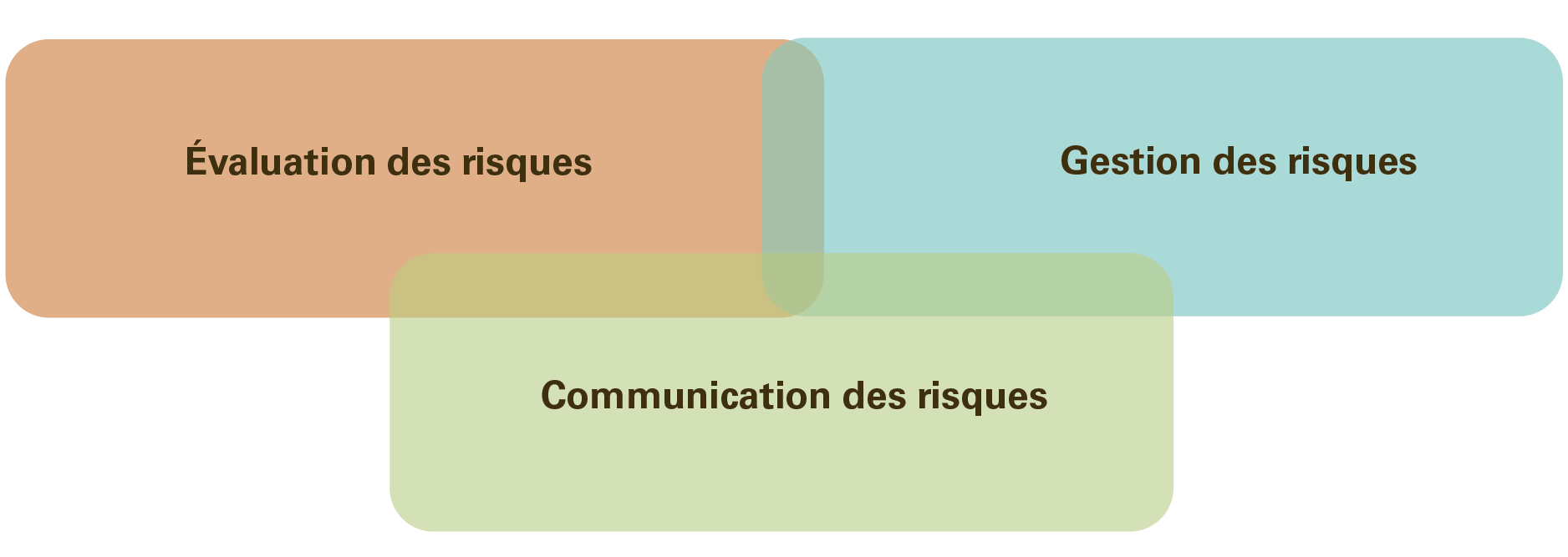 Présentation des cercles d'interconnexion de l'évaluation des risques, de la gestion des risques et de la communication des risques.