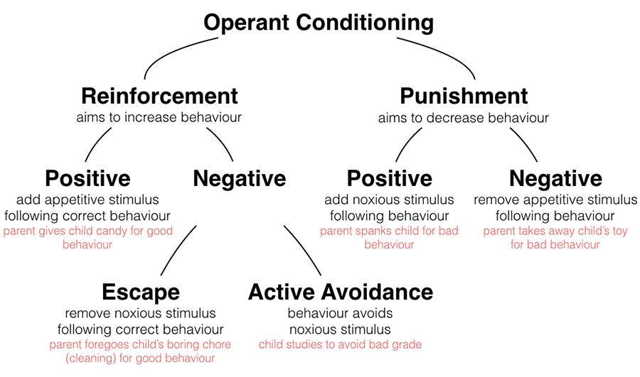 operant conditioning