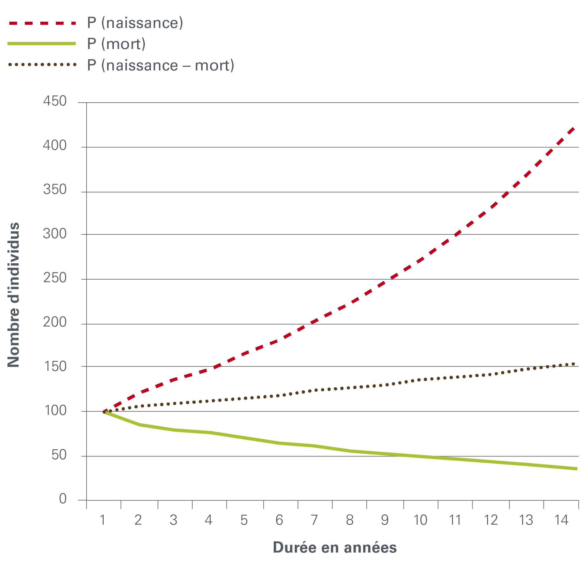 L’image 3 montre l'évolution de la taille de la population au fil du temps par année, ainsi que les taux de natalité et de mortalité présentés comme processus indépendants.