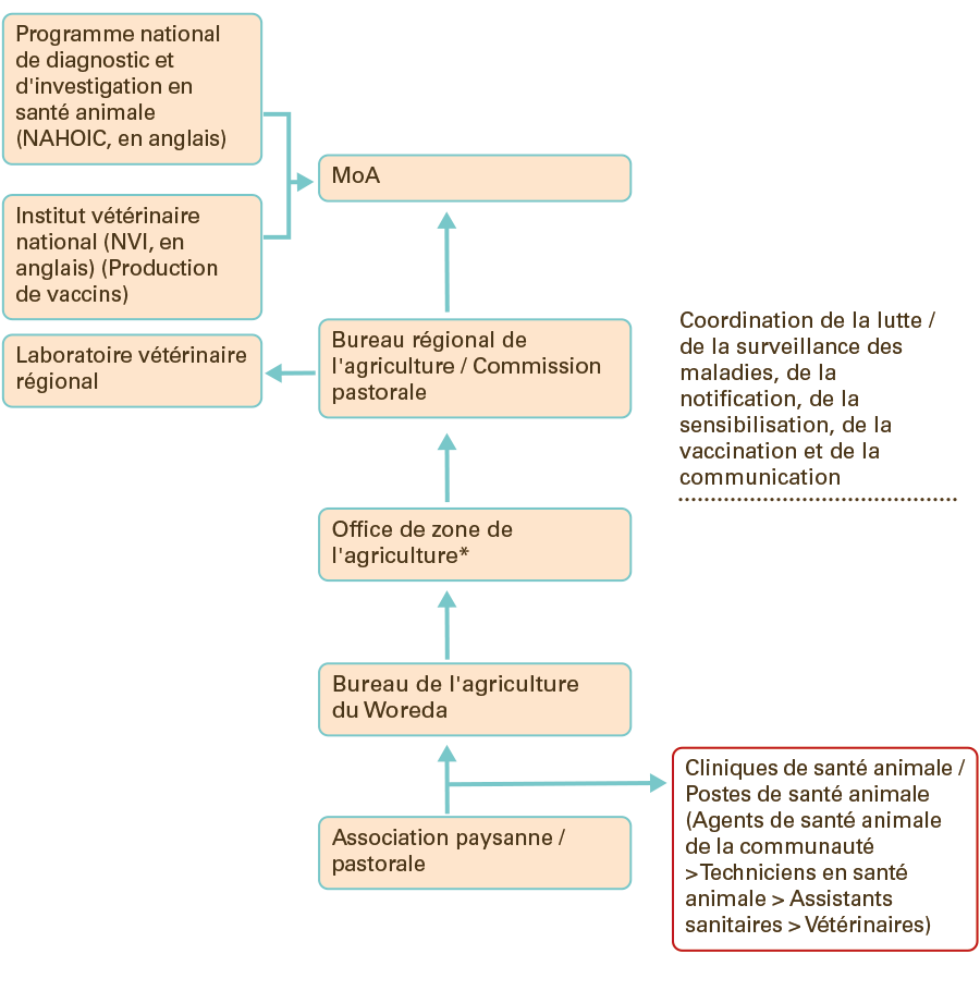 Un graphique qui décrit l'organisation du système de santé animale en Éthiopie.