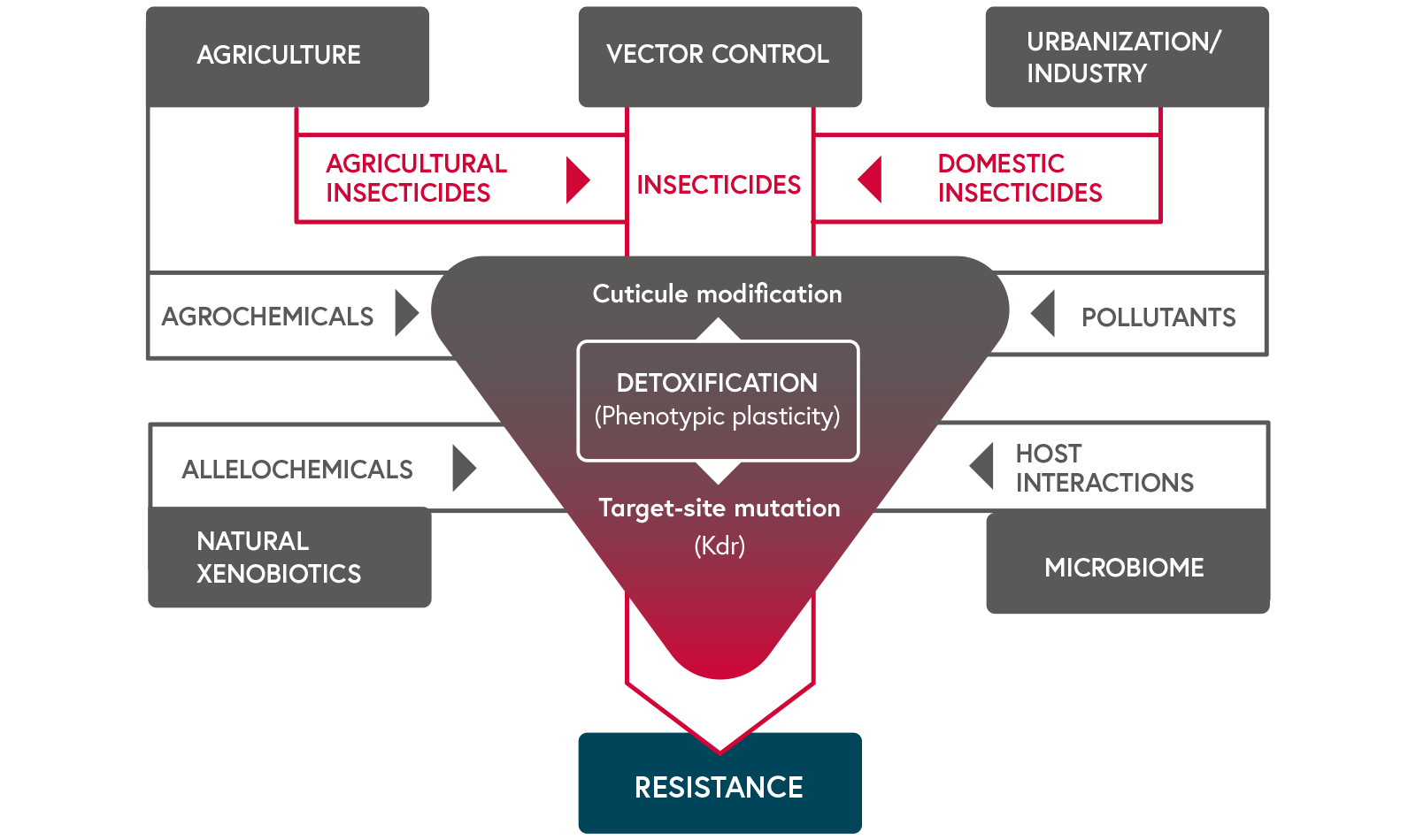 Schematic representation of environmental factors potentially affecting pyrethroid resistance mechanisms in mosquitoes.