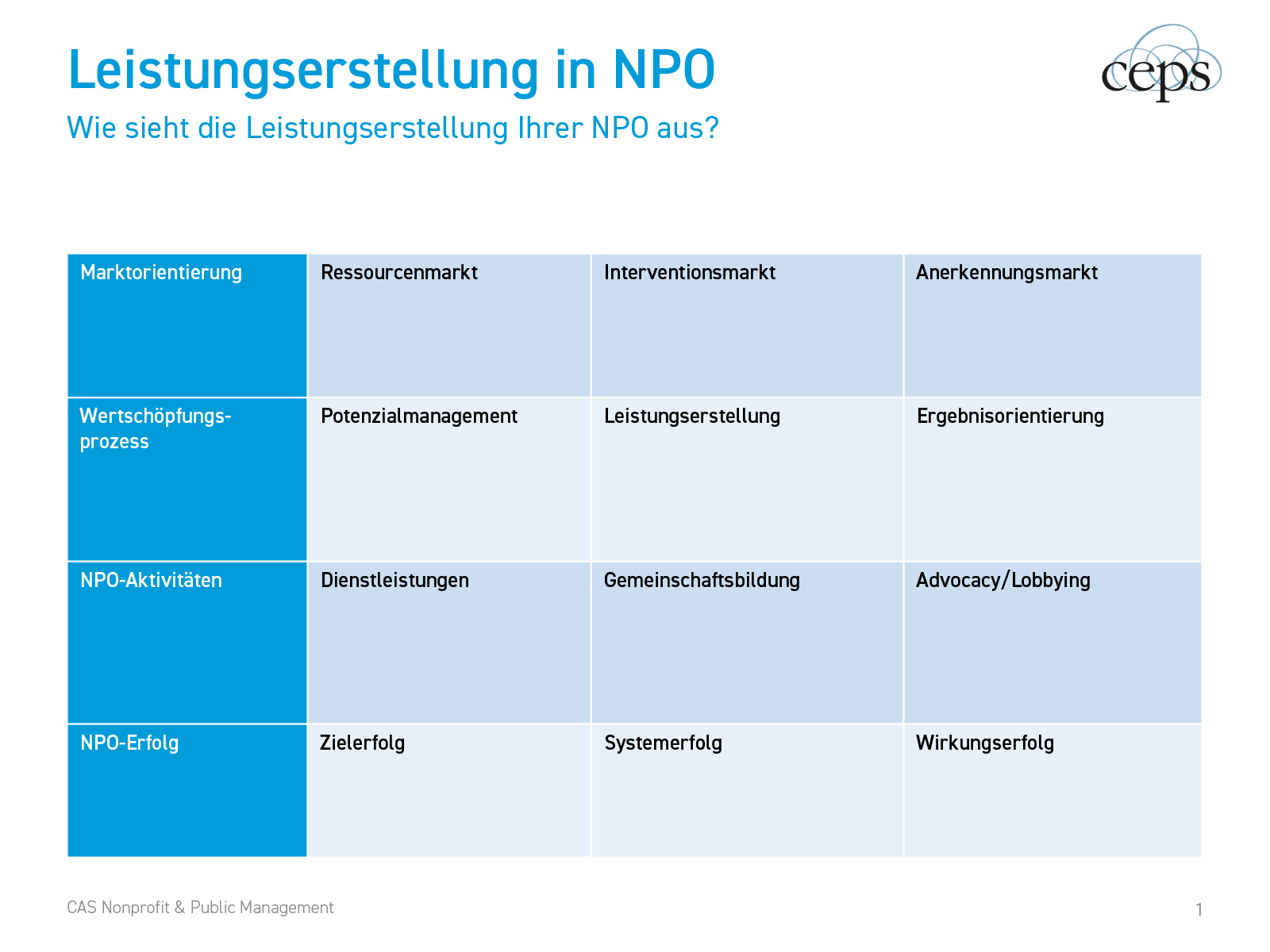 Leistungserstellung in eigener NPO