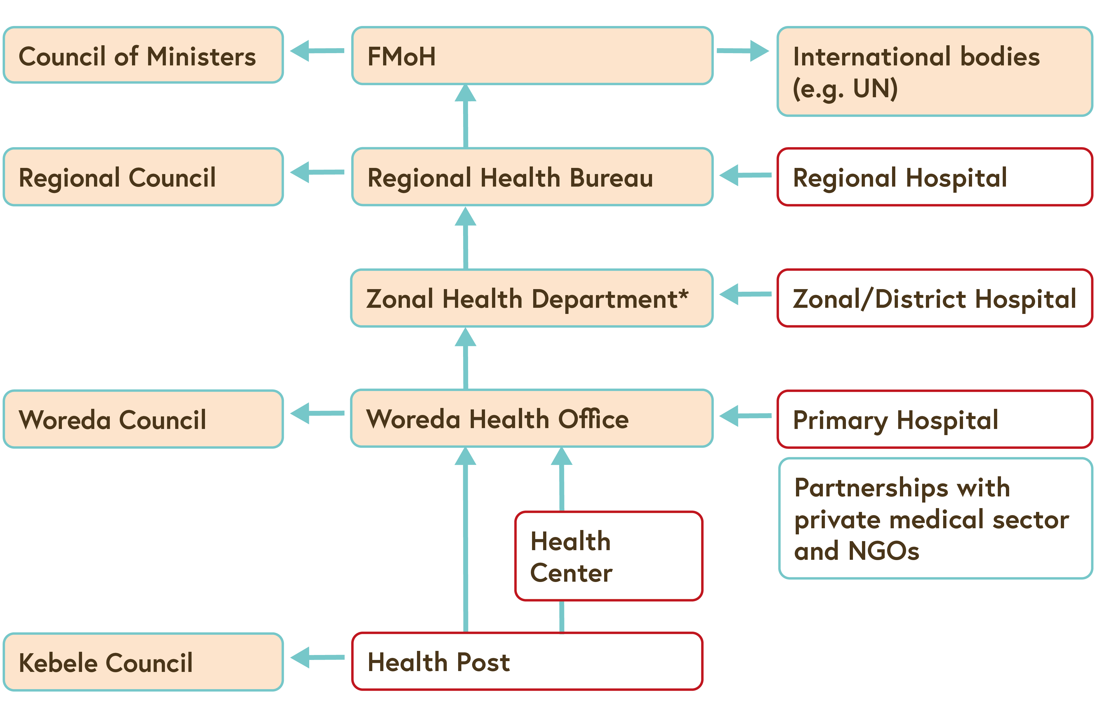 A chart that depicts the human health system organisation in Ethiopia.