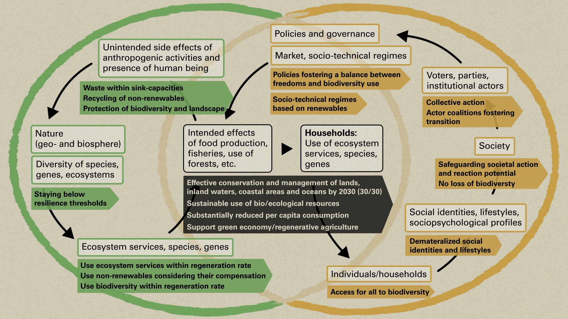 Scheme 2 shows the generic coupled human-nature system applied to the challenge of biodiversity loss, with an added set of goals.