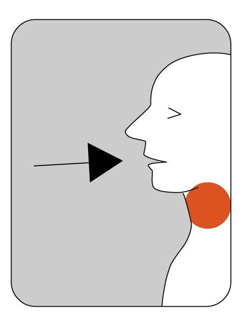 Illustration Kehlkopfsingen mit eigeatmeter Luft
