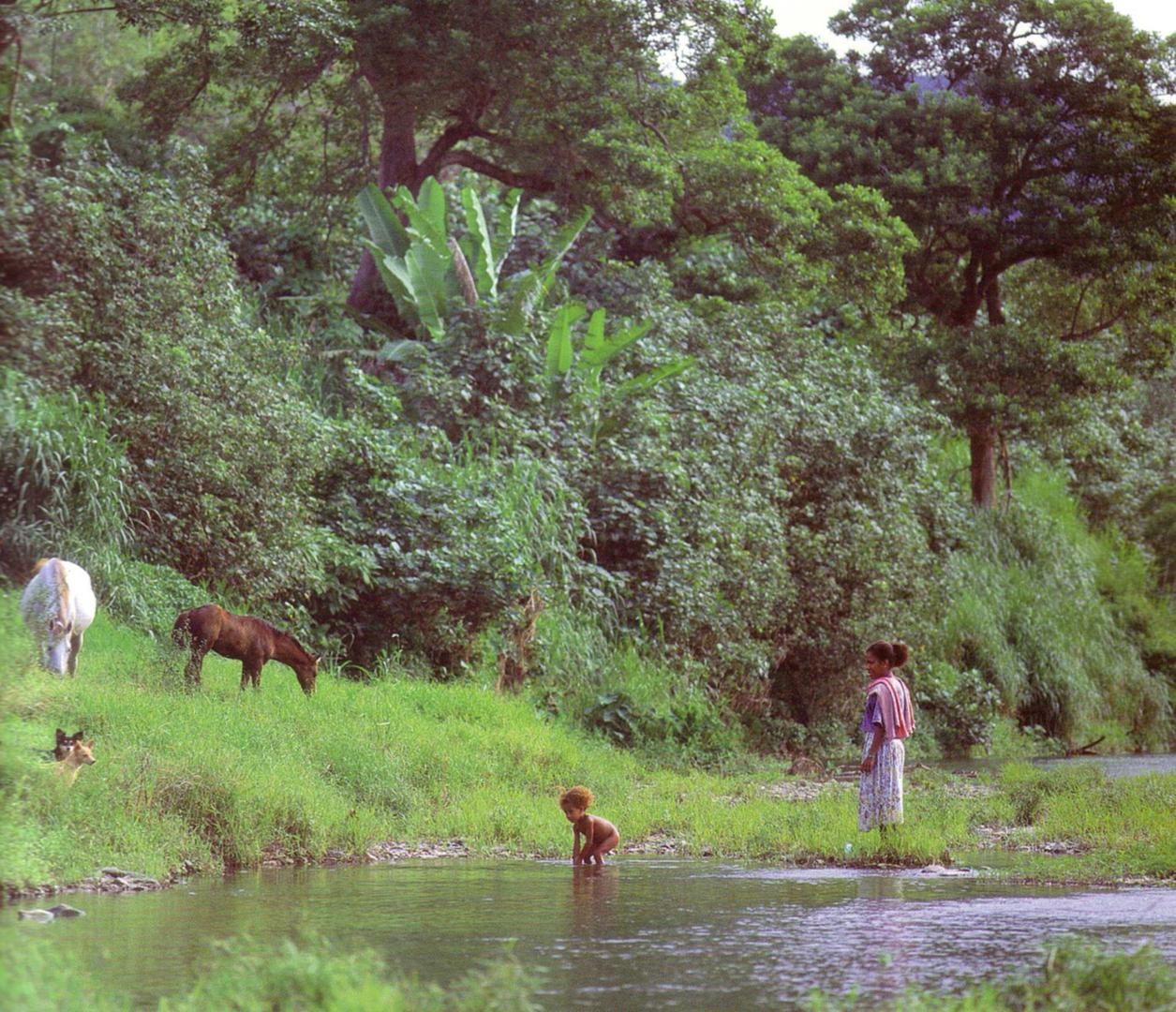 Fluss Tchamba